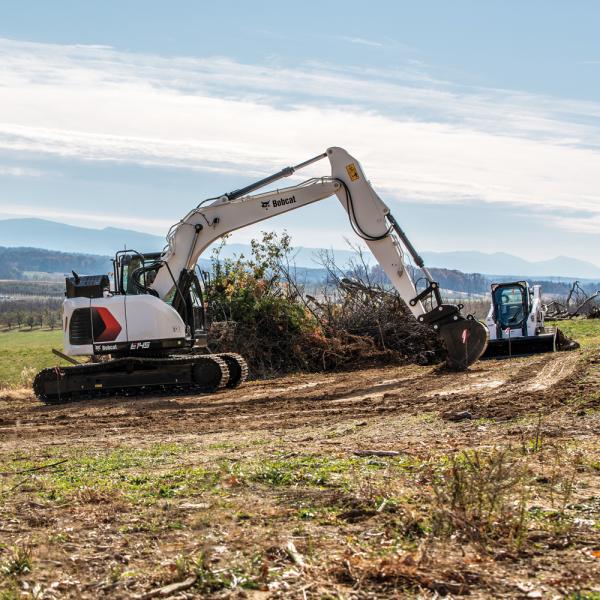 Bobcat