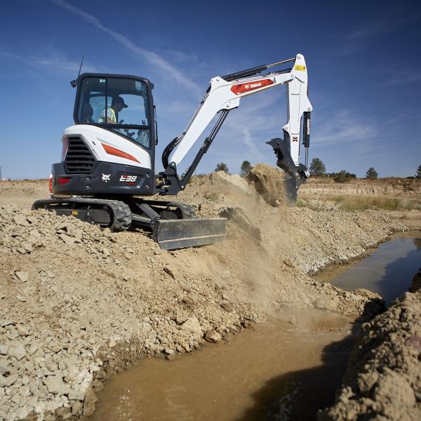 Bobcat