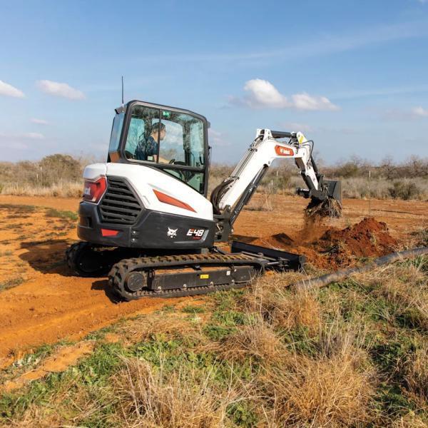 Bobcat