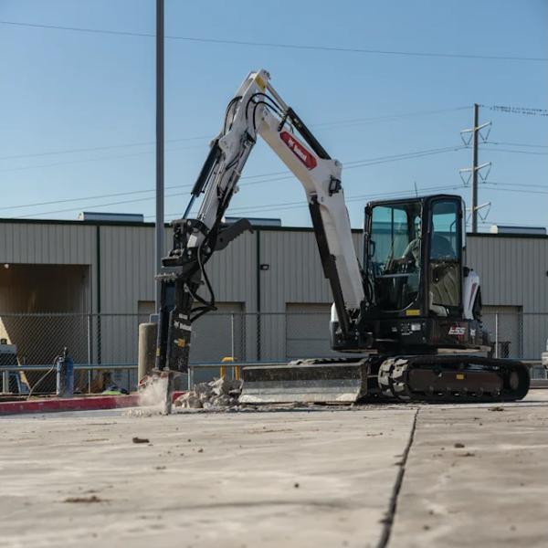 Bobcat