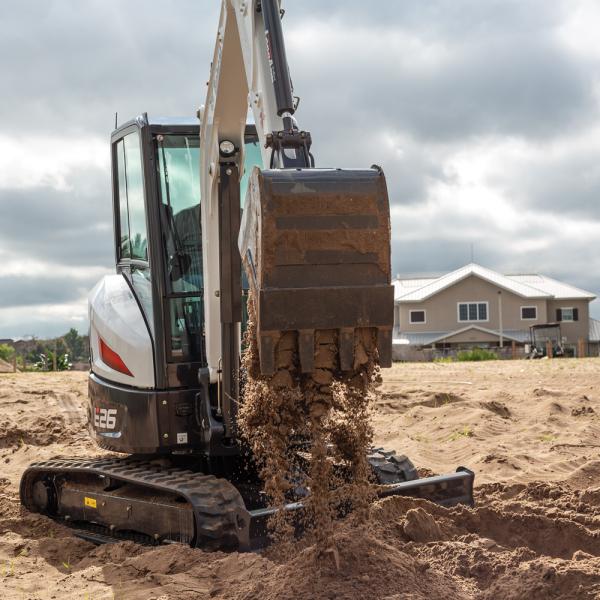 Bobcat